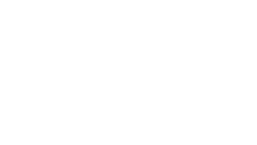 Belle Branding | Headshots and Personal Branding